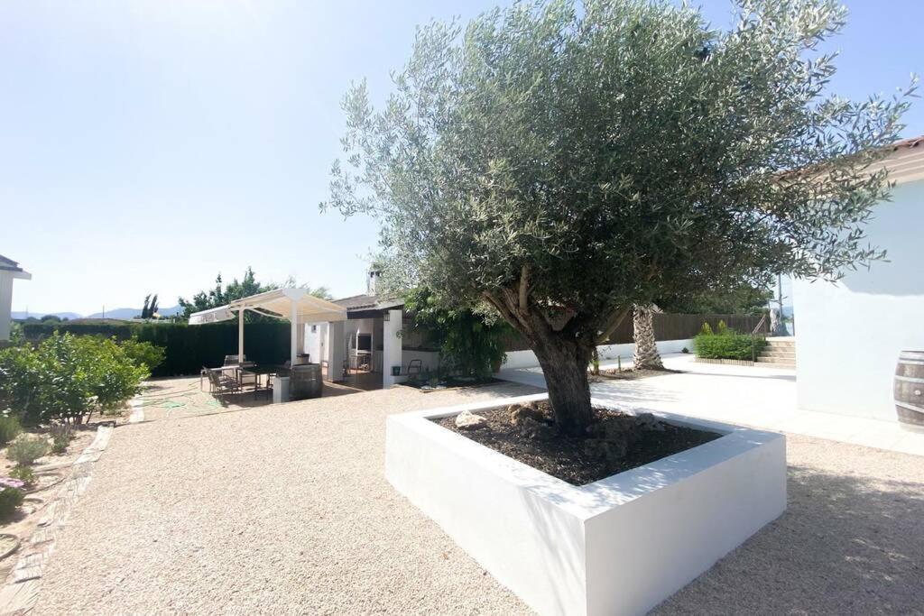 Relax En La Huerta De Murcia Exterior photo